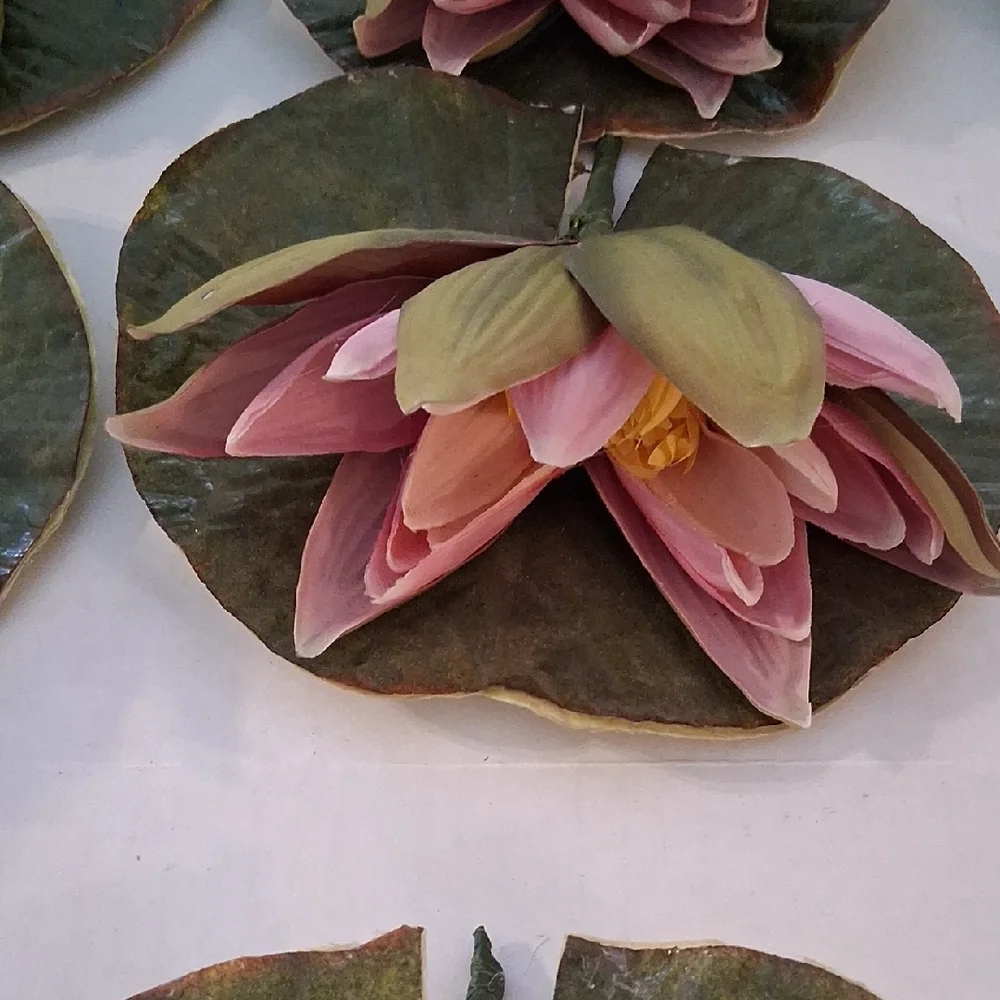 Handmade Pink Faux Water Lily Lotus Pond Picks Craft Floral Decor Set of 10